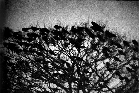 basakerrrrr instagram image archive image