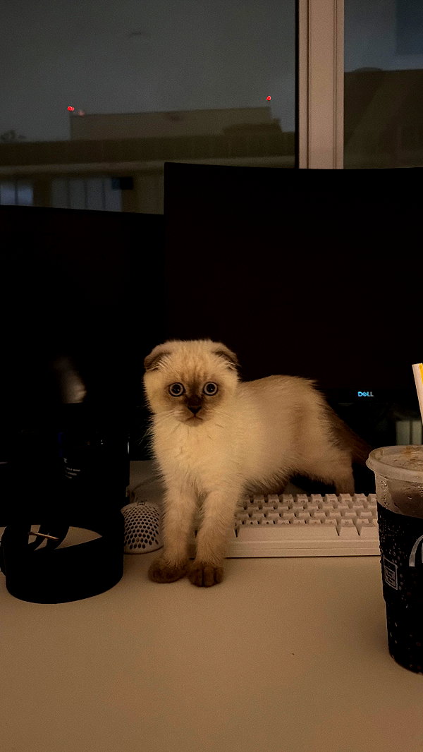 nevaaadaa instagram image archive image