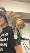 brain_eaterr Altpins Profile Picture