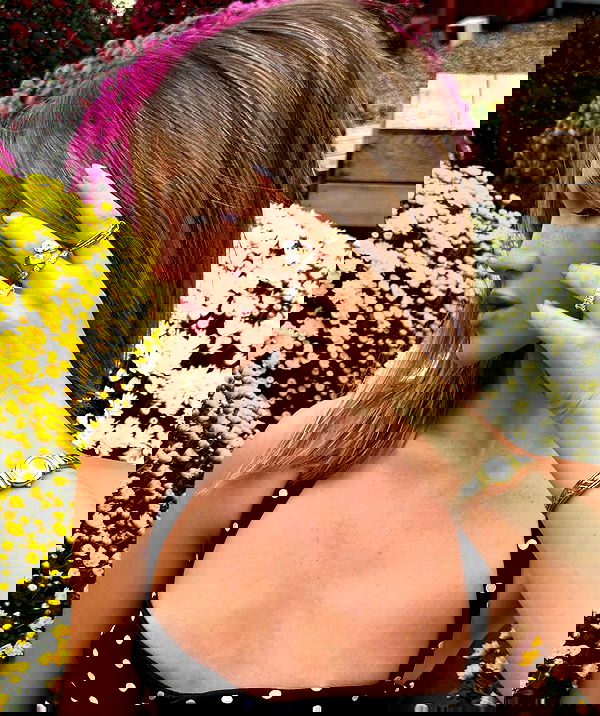 taylor.creeden taylor.creeden archive image