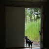 lollinski Altpins Profile Picture