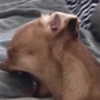 georgialeetwinn Altpins Profile Picture