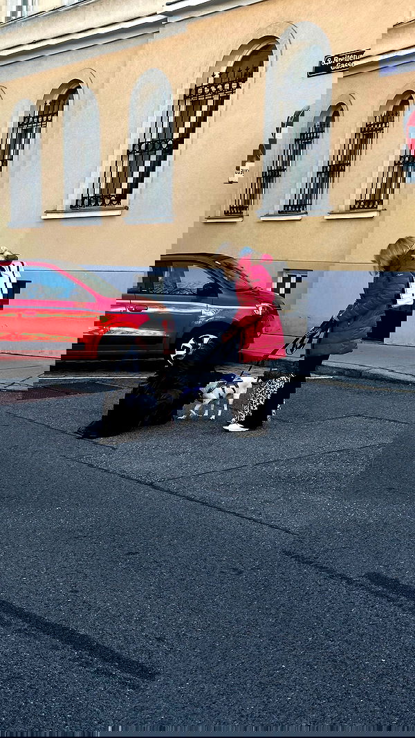 manjolamuriqi manjolamuriqi archive image