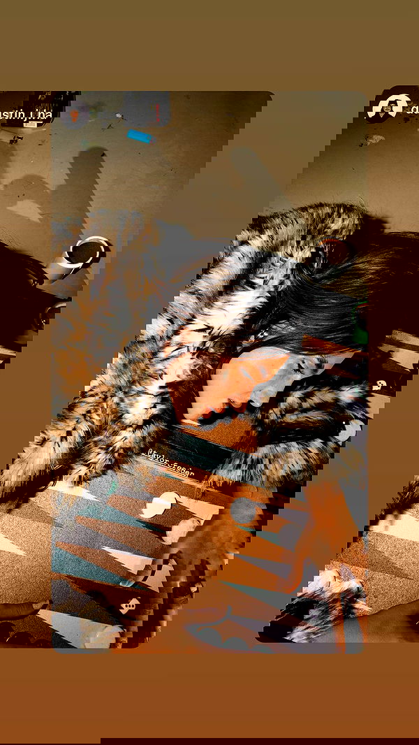 taylor.creeden taylor.creeden archive image