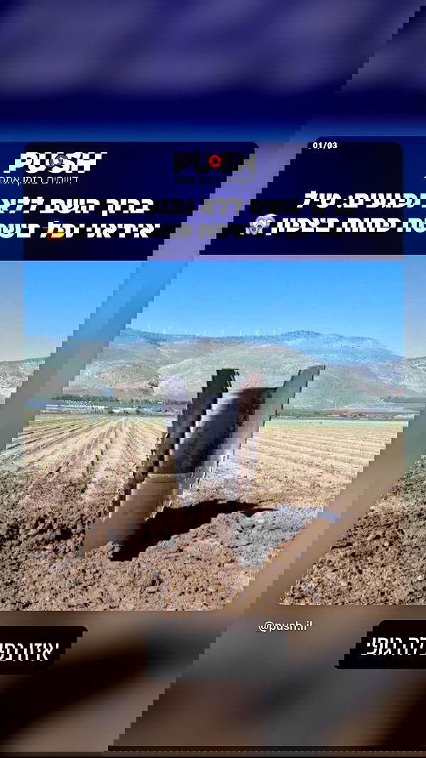 yannaidebeer yannaidebeer archive image