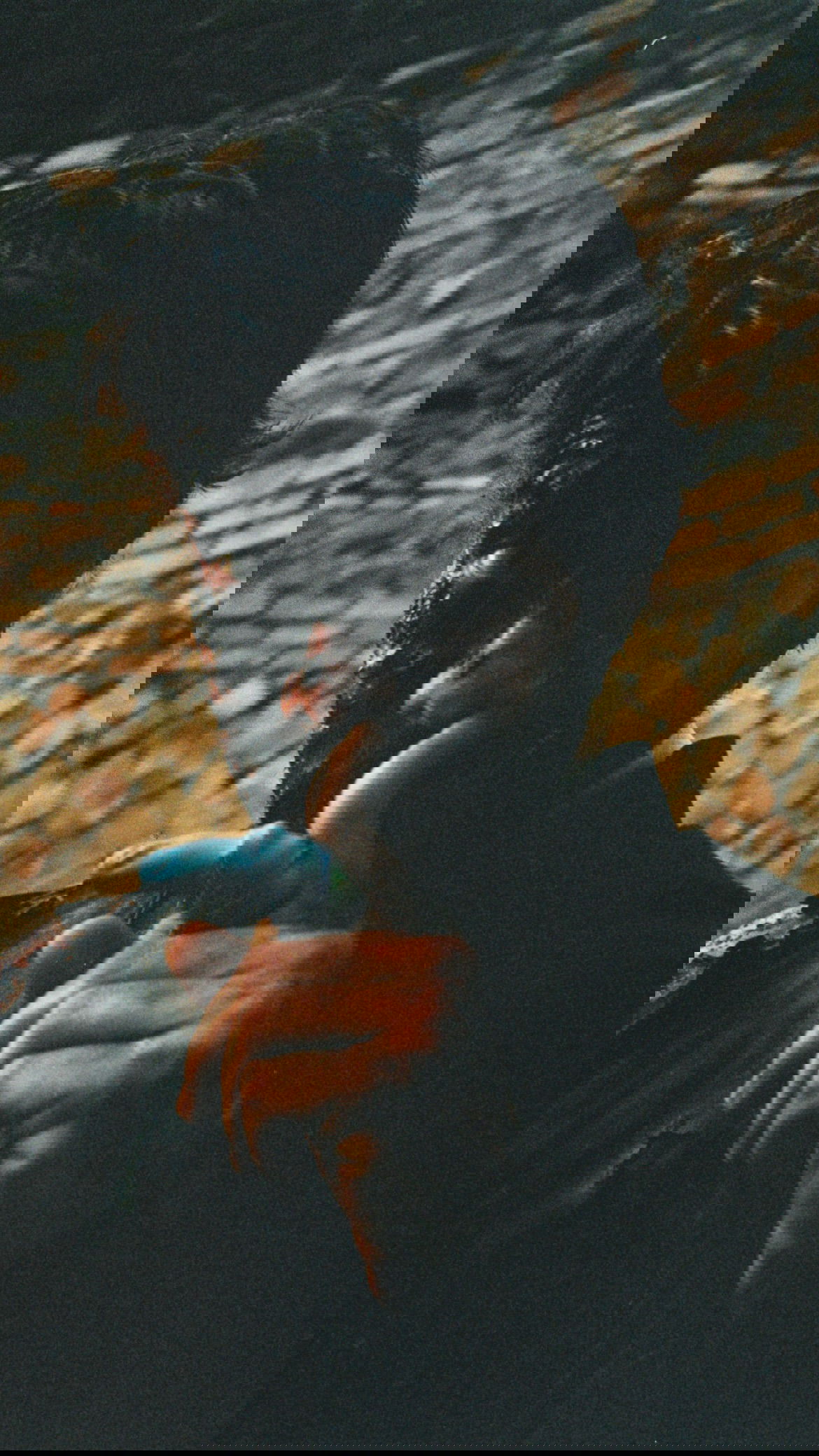 sydney_sweeney instagram image archive image