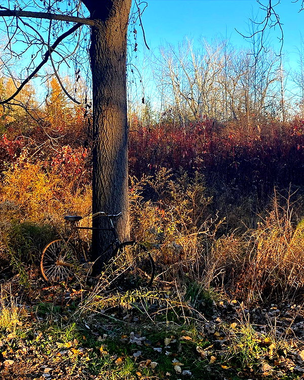 taratornquist instagram image archive image