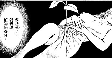 bad.toy instagram image archive image