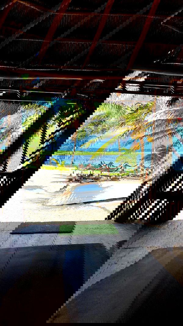 manjolamuriqi manjolamuriqi archive image