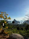 gritsa.k Altpins Profile Picture