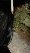 vampiryska Altpins Profile Picture