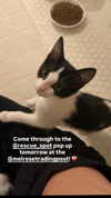 gabbyepstein Altpins Profile Picture