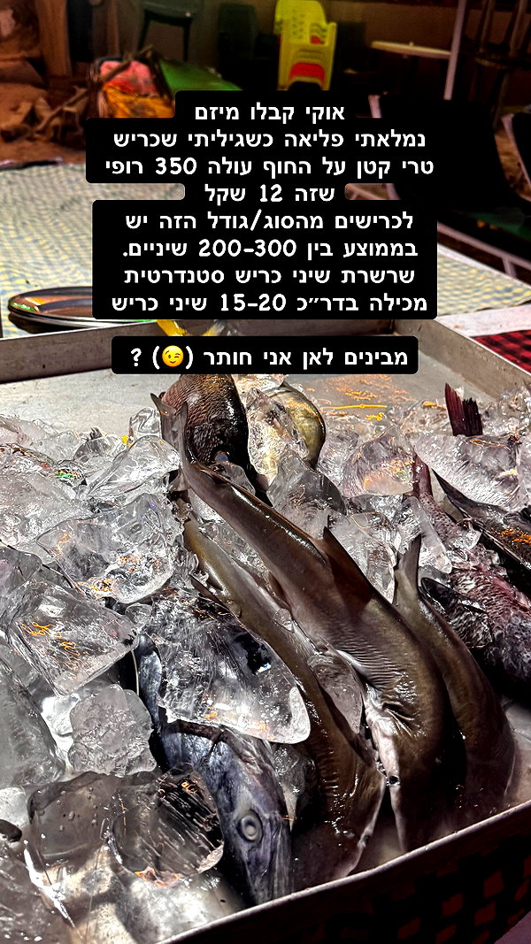 idoblau instagram image archive image