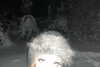danafetishistova Altpins Profile Picture