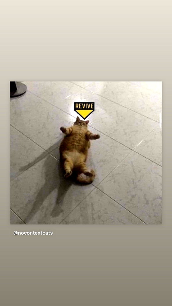 edenleiv instagram image archive image