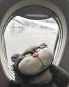 hhh.e_c.v Altpins Profile Picture