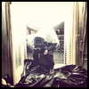 realbarbarapalvin Altpins Profile Picture