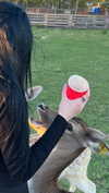 3xiiicom Altpins Profile Picture