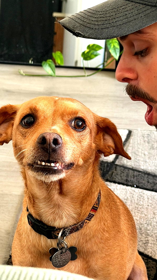 Archived image from @haileylayfield on Instagram