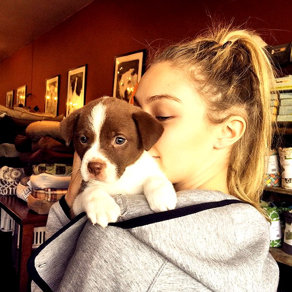 gigihadid instagram image archive image
