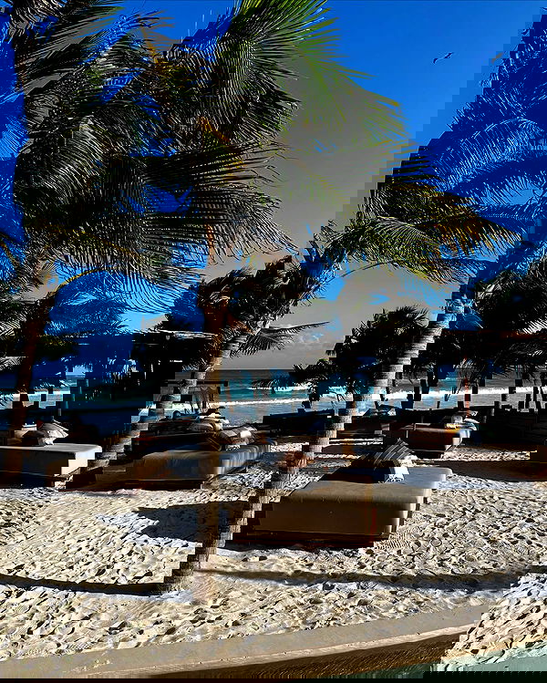 manjolamuriqi manjolamuriqi archive image