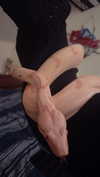 haileylayfield Altpins Profile Picture