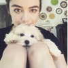 lucyhale Altpins Profile Picture