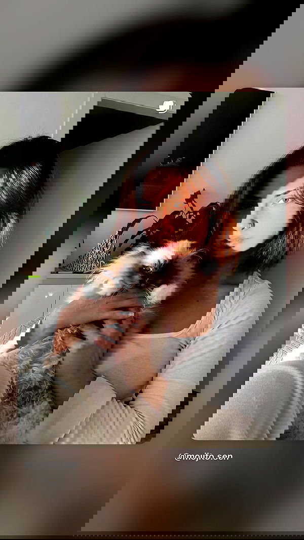 kasumi_sen kasumi_sen archive image