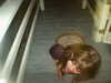 bugz4brainz Altpins Profile Picture
