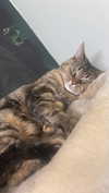olivia.bolgerr Altpins Profile Picture