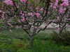 marlene_808 Altpins Profile Picture