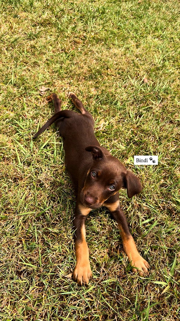 chloe.bellaa instagram image archive image