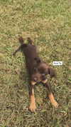 chloe.bellaa Altpins Profile Picture