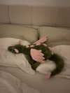 ninastodden Altpins Profile Picture