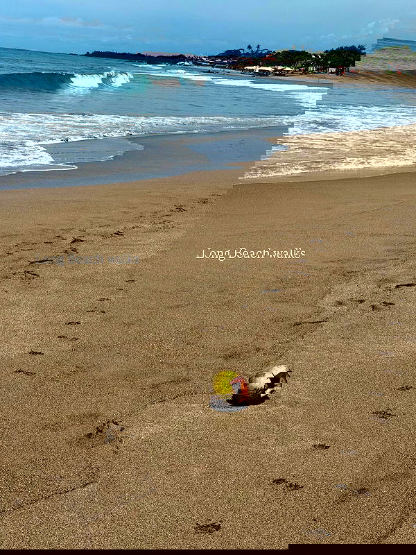 taylor.creeden taylor.creeden archive image