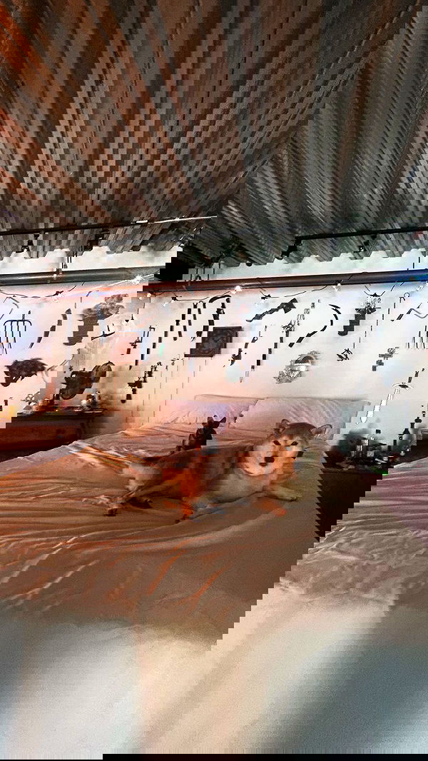 zommmbri zommmbri archive image