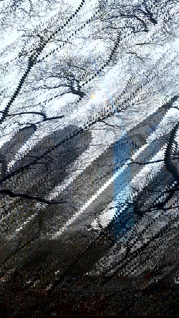 taylor.creeden taylor.creeden archive image