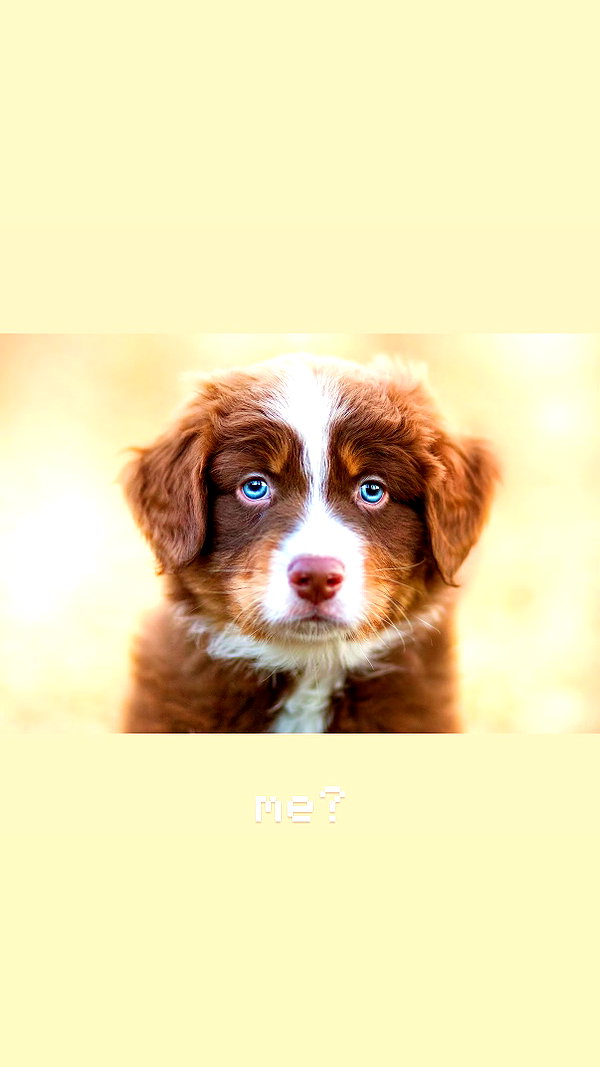 mollycodlee instagram image archive image
