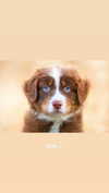 mollycodlee Altpins Profile Picture