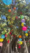 dwpolin Altpins Profile Picture
