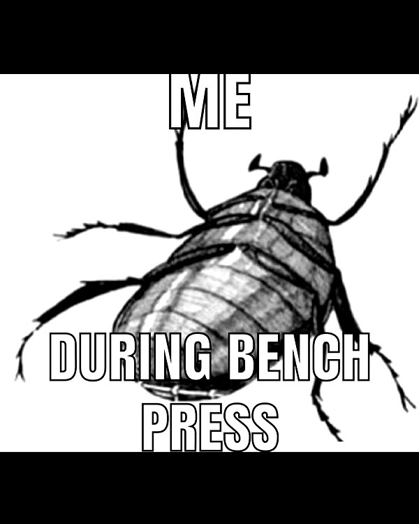 leanbeefpatty instagram image archive image