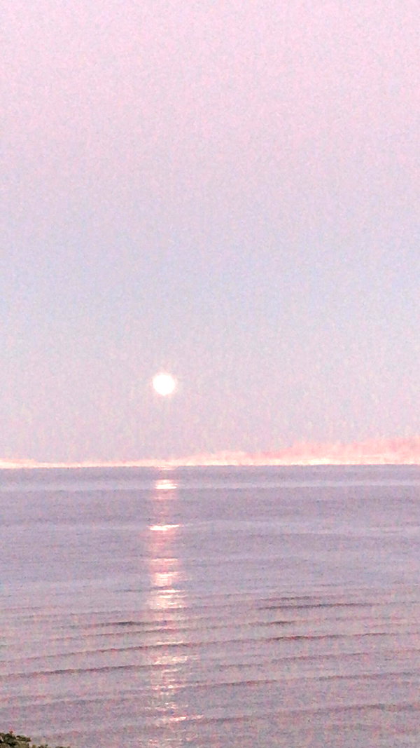 meiiisame archive image