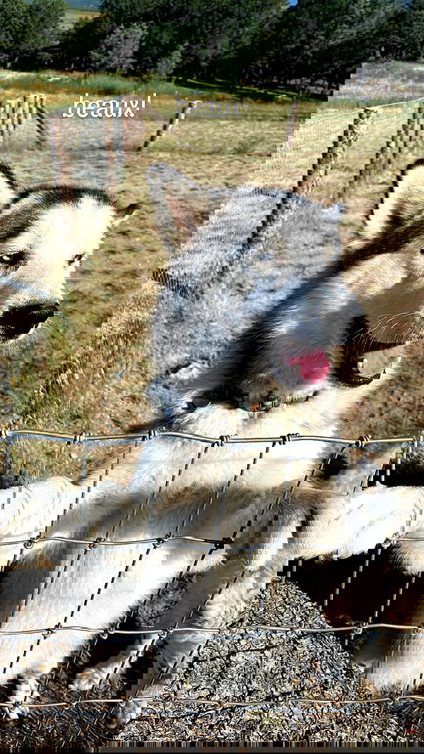 thelizzyporter thelizzyporter archive image