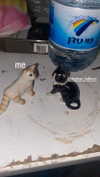 xxk1tty4nnaxx Altpins Profile Picture