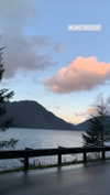 elsgatti Altpins Profile Picture