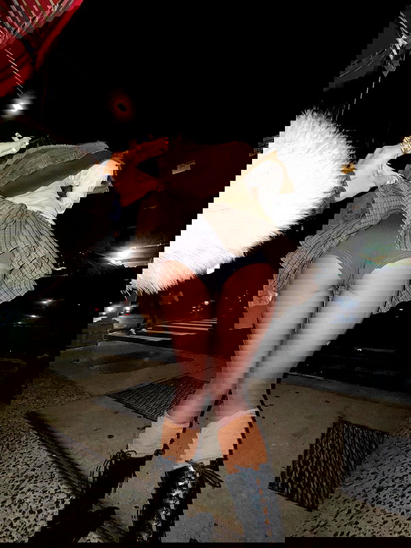 iambohema.v2 iambohema.v2 archive image