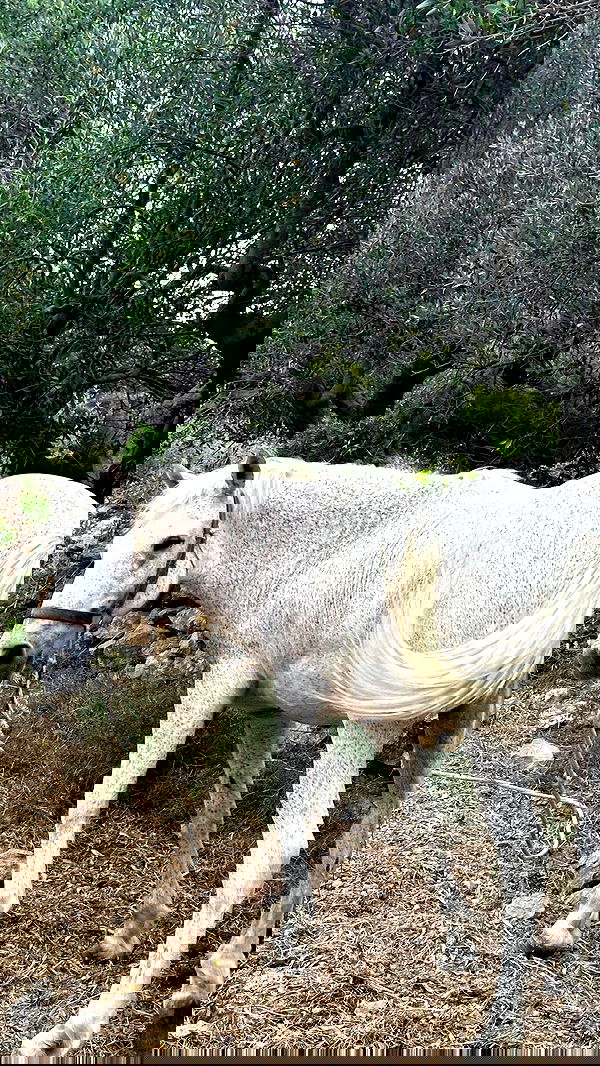 taylor.creeden taylor.creeden archive image