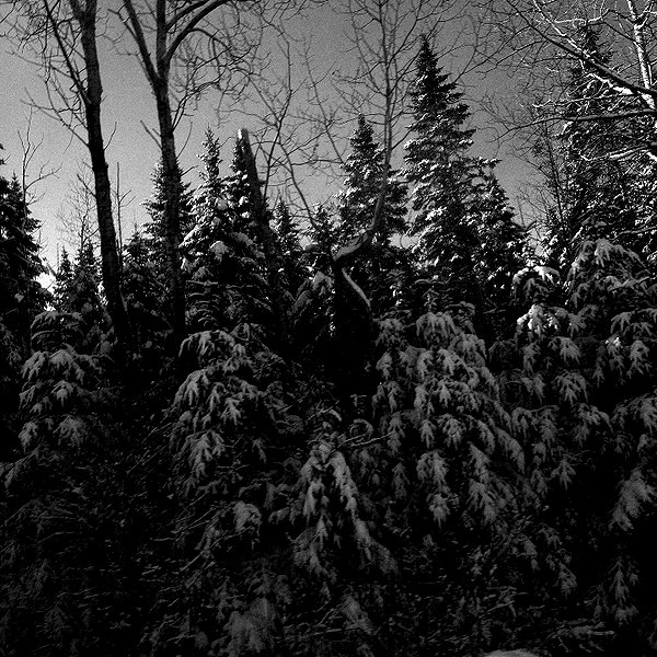 leonanaomii instagram image archive image