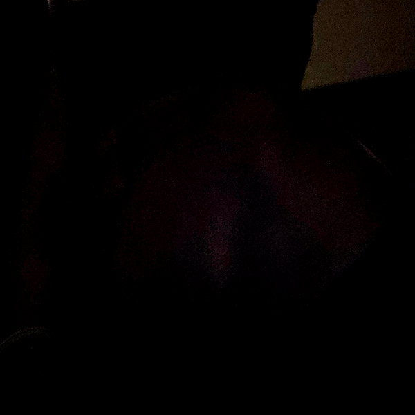 vanta.vinny instagram image archive image