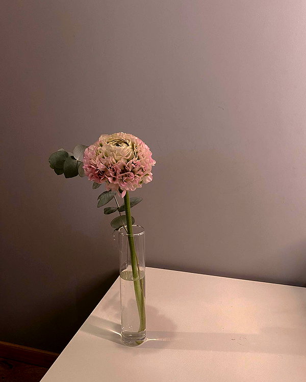 lerkamiill instagram image archive image